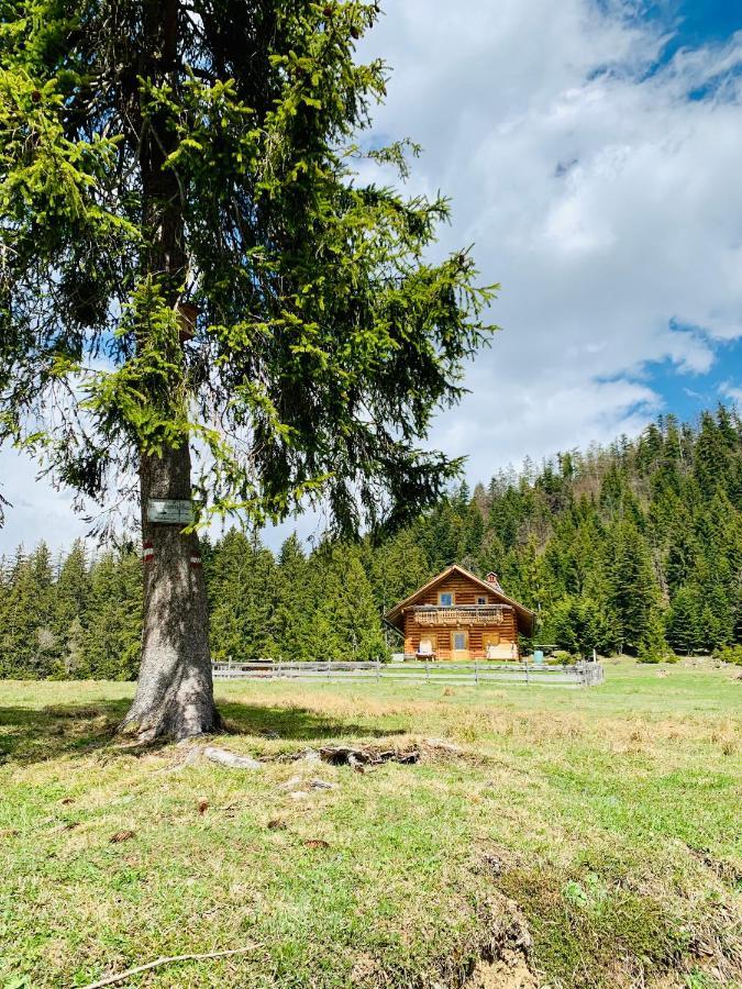 Bergheimat Apartment Bad Goisern Luaran gambar